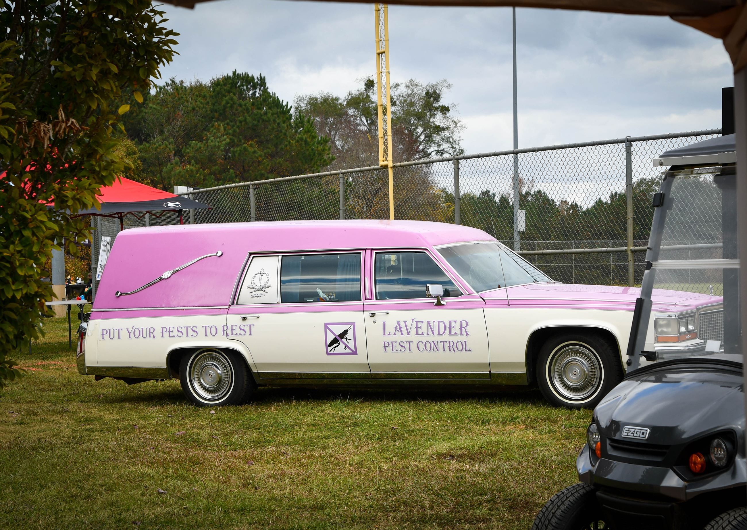 Image of Lavender Pest Control company hearse
